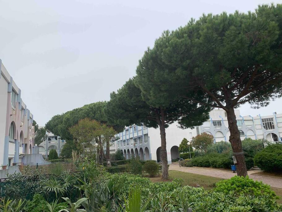 Grand Studio, Piscines, Proche Le Grau-du-Roi